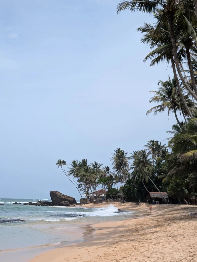 Plage de Dalawella bordée de cocotiers, sur la côte sud du Sri Lanka