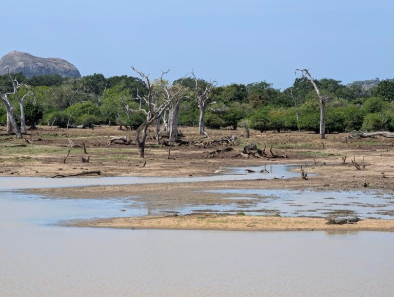 Paysage du Sri Lanka