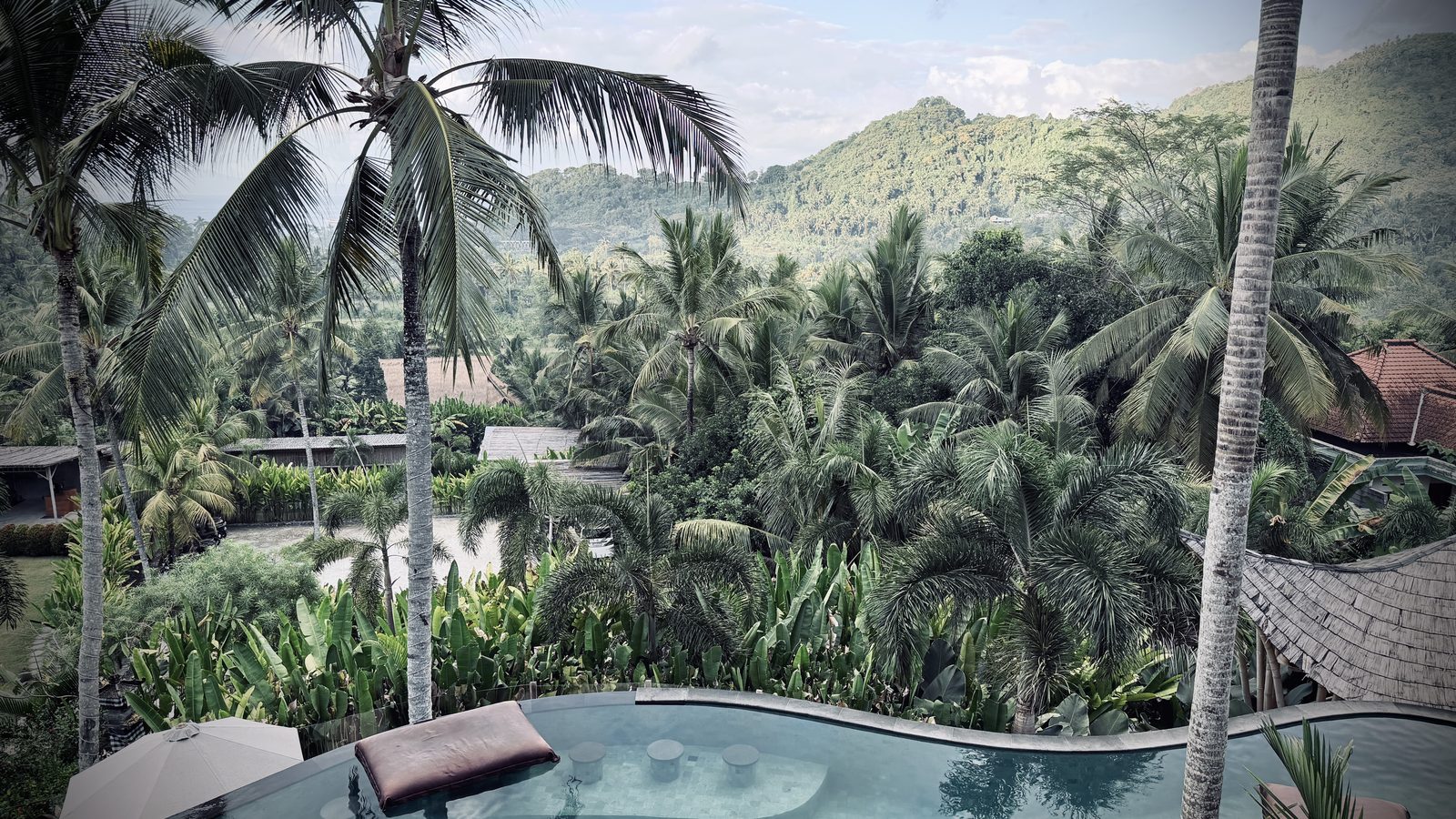 Piscine entourée de palmiers et de jungle à Manggis, côte est de Bali