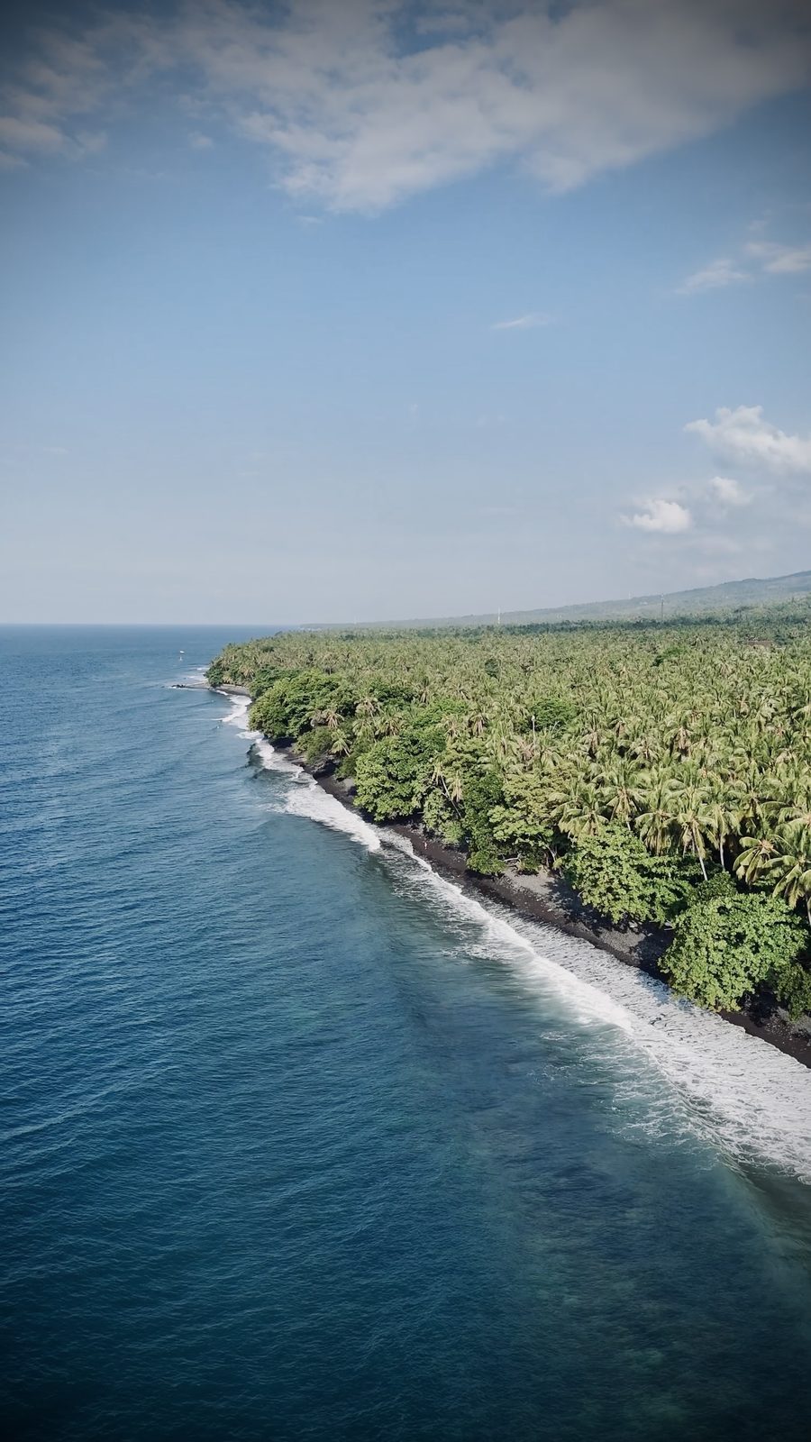 La plage de sable noir de Tejakula bordée de cocotiers, vue du ciel