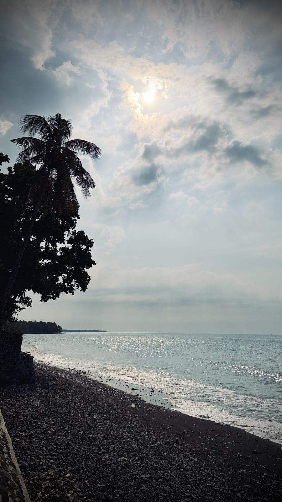 Cocotier penché au-dessus de la plage de galets noirs de Tejakula