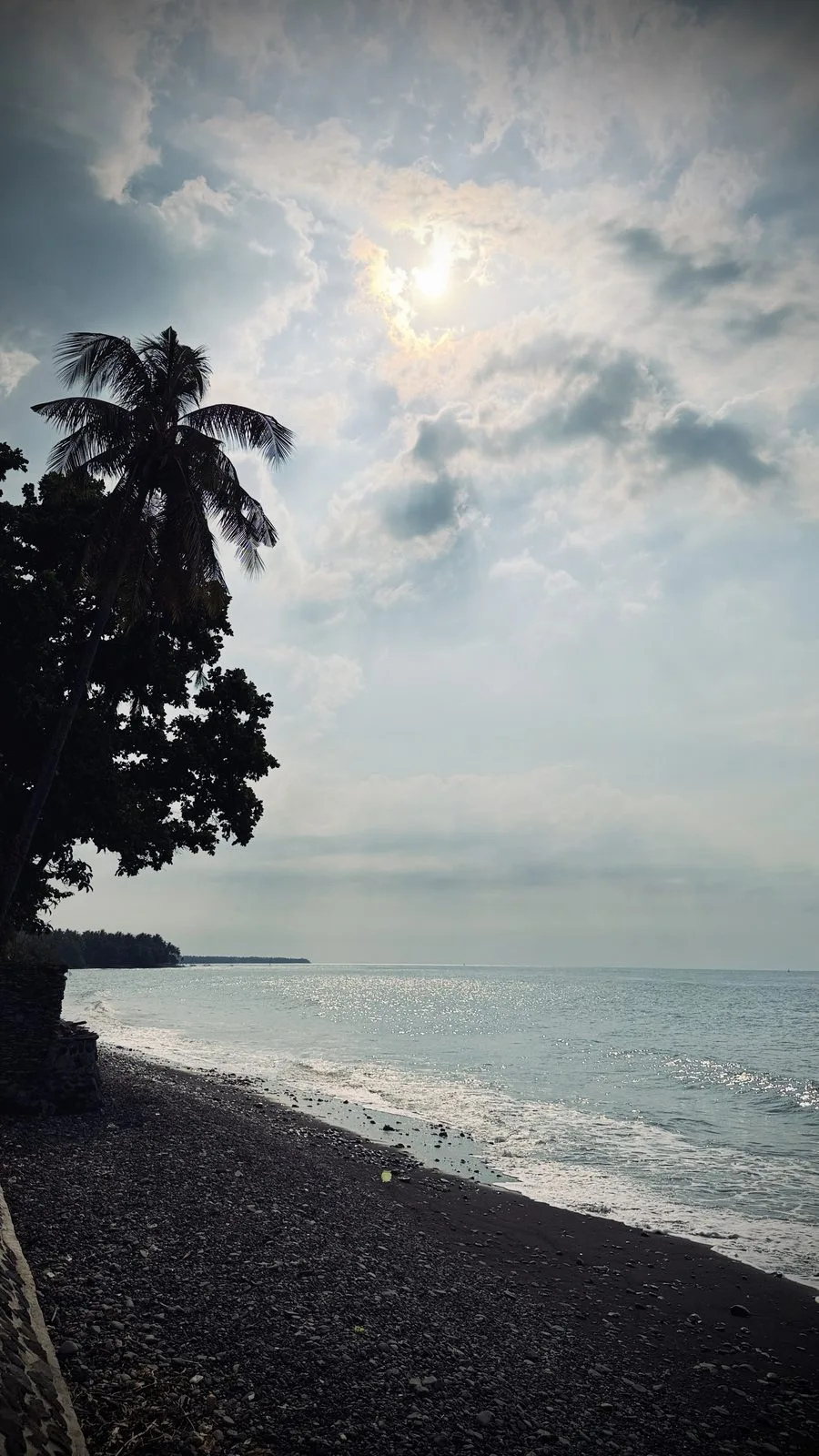 Cocotier penché au-dessus de la plage de galets noirs de Tejakula